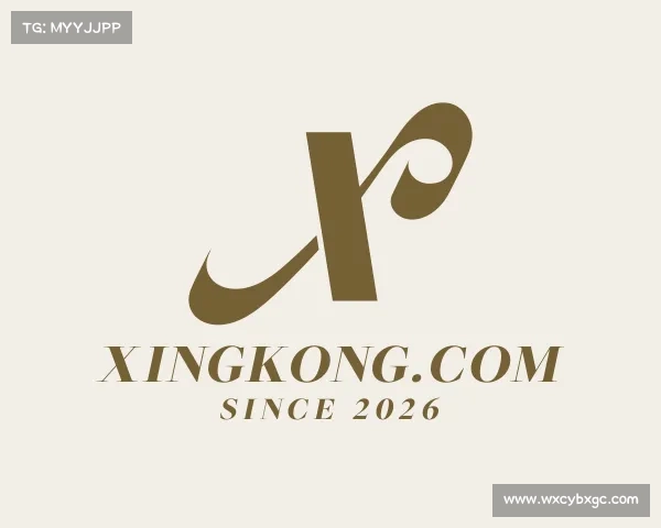 了解xingkong.com